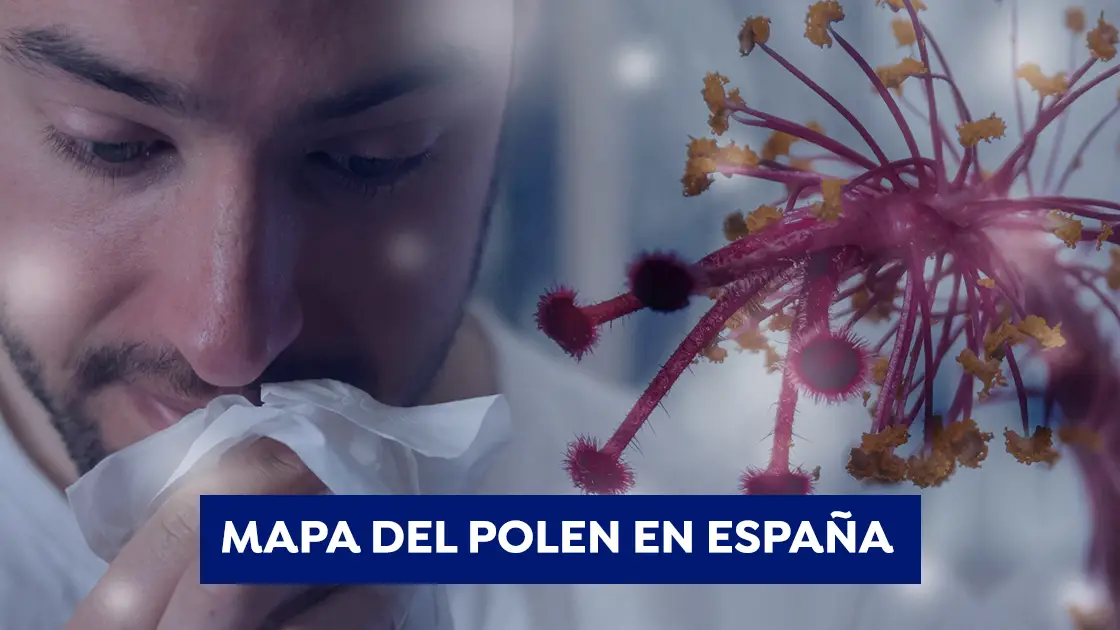 Mapa del nivel de polen en Espa&ntilde;a