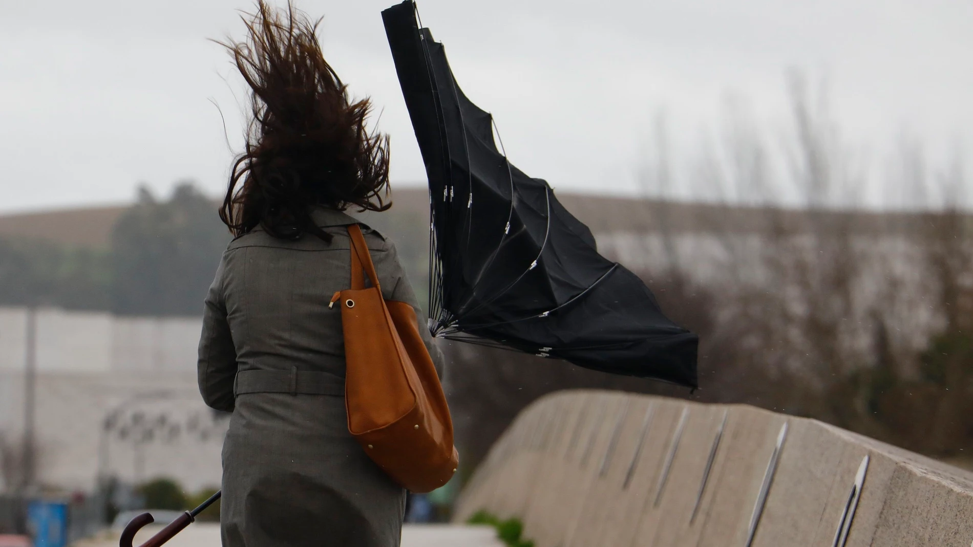 Hoy, viento fuerte en Andalucía, Galicia y extremo oriental cantábrico. Hoy, viento fuerte en Andalucía, Galicia y extremo oriental cantábrico.