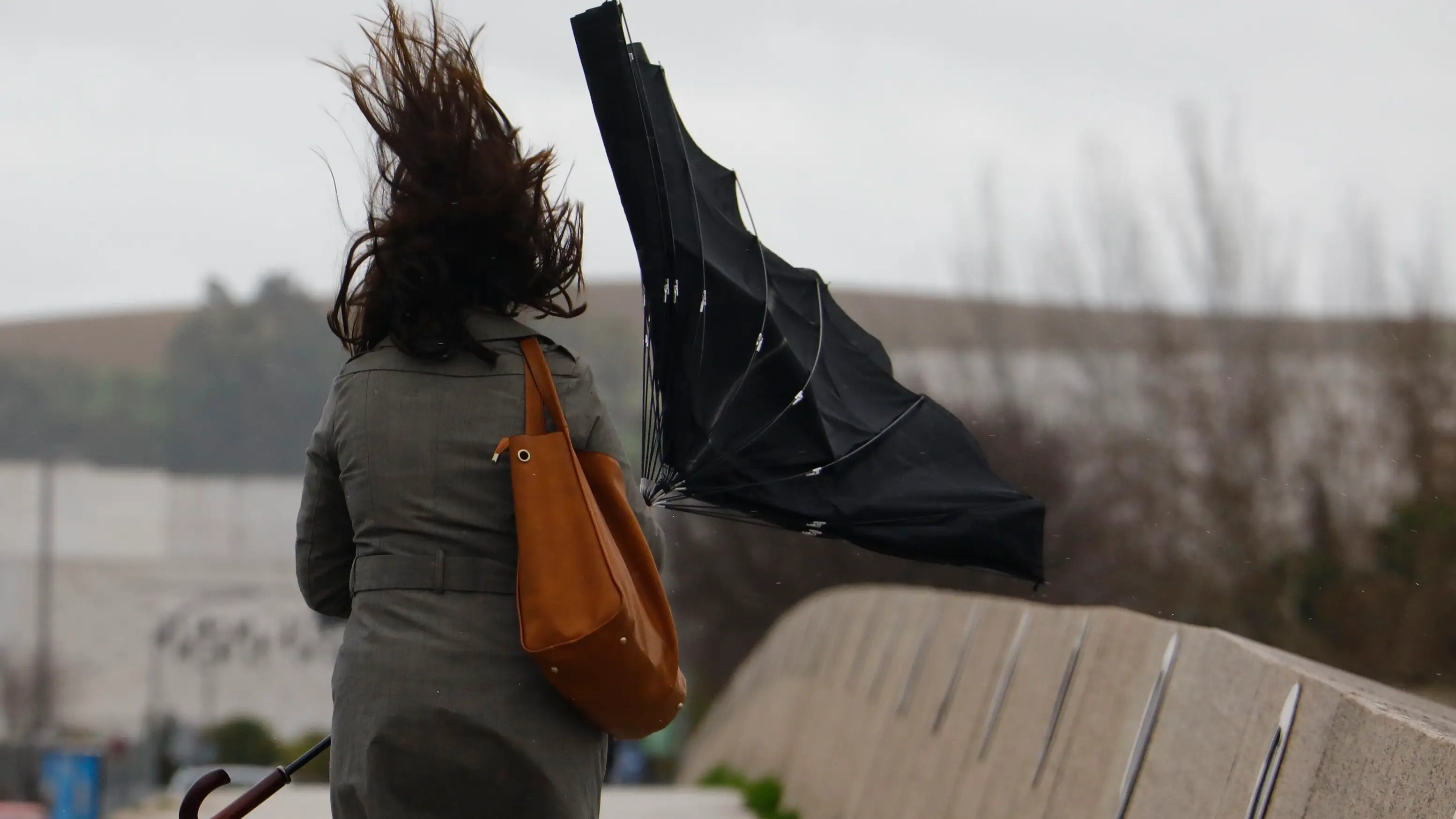 Hoy, viento fuerte en Andalucía, Galicia y extremo oriental cantábrico. Hoy, viento fuerte en Andalucía, Galicia y extremo oriental cantábrico.