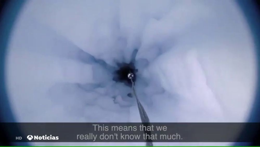 Hallan criaturas vivas a 900 metros de profundidad bajo la capa de hielo en la Antártida