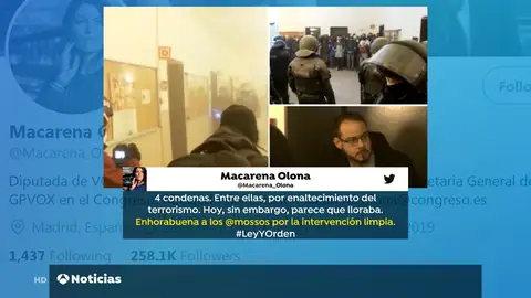 REACCIONES HASEL REACCIONES HASEL