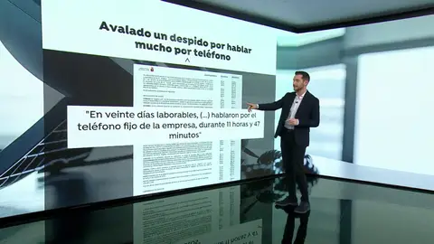 Despedida por hablar de forma continuada por teléfono con una compañera de trabajo Despedida por hablar de forma continuada por teléfono con una compañera de trabajo