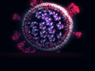 La cepa sudafricana del coronavirus consigue propagarse un 50% más rápido