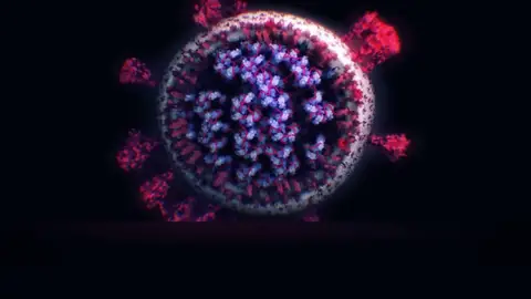La cepa sudafricana del coronavirus consigue propagarse un 50% más rápido La cepa sudafricana del coronavirus consigue propagarse un 50% más rápido