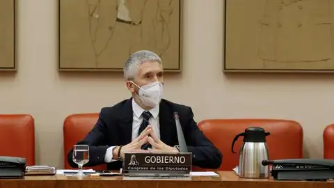 Fernando Grande-Marlaska Fernando Grande-Marlaska