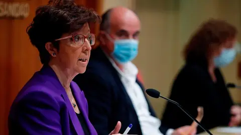 La directora general de Salud Pública, Elena Andradas, junto al viceconsejero de Salud Pública y Plan COVID-19 de la Comunidad de Madrid, Antonio Zapatero La directora general de Salud Pública, Elena Andradas, junto al viceconsejero de Salud Pública y Plan COVID-19 de la Comunidad de Madrid, Antonio Zapatero