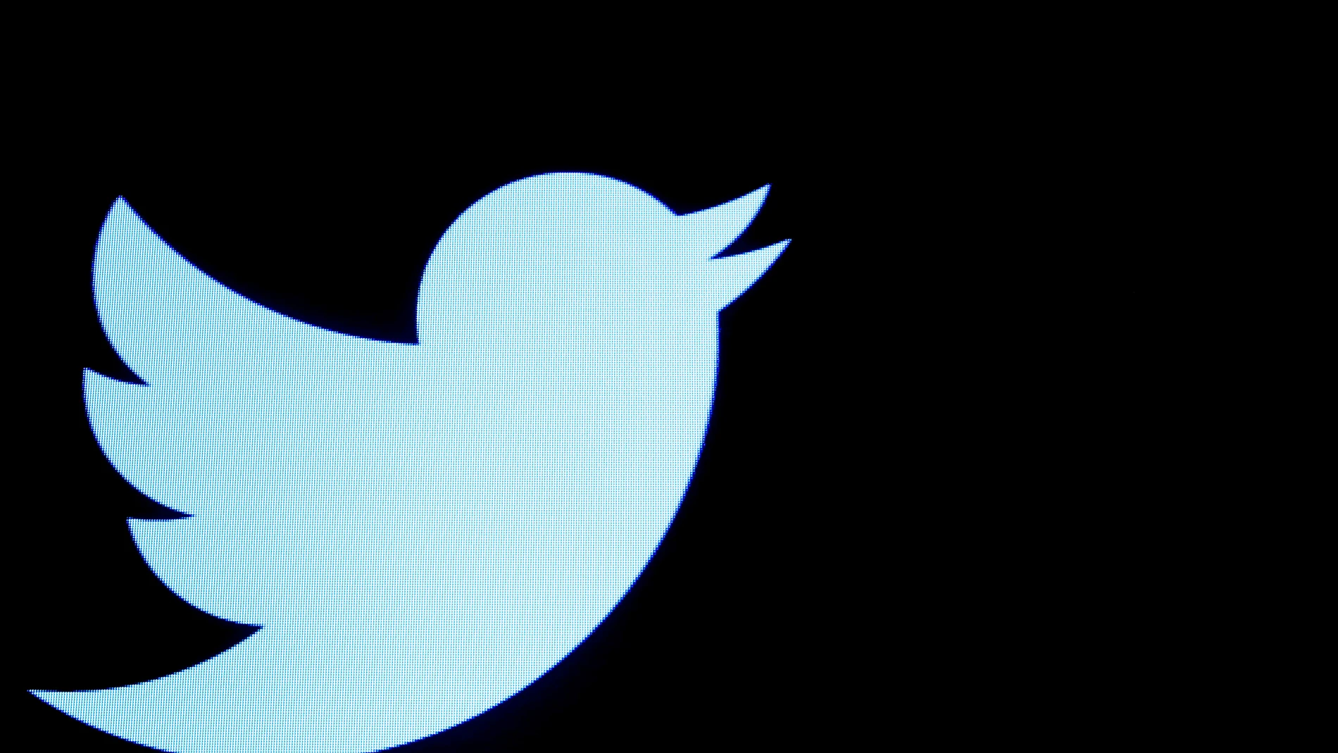 Imagen del logo de Twitter Imagen del logo de Twitter