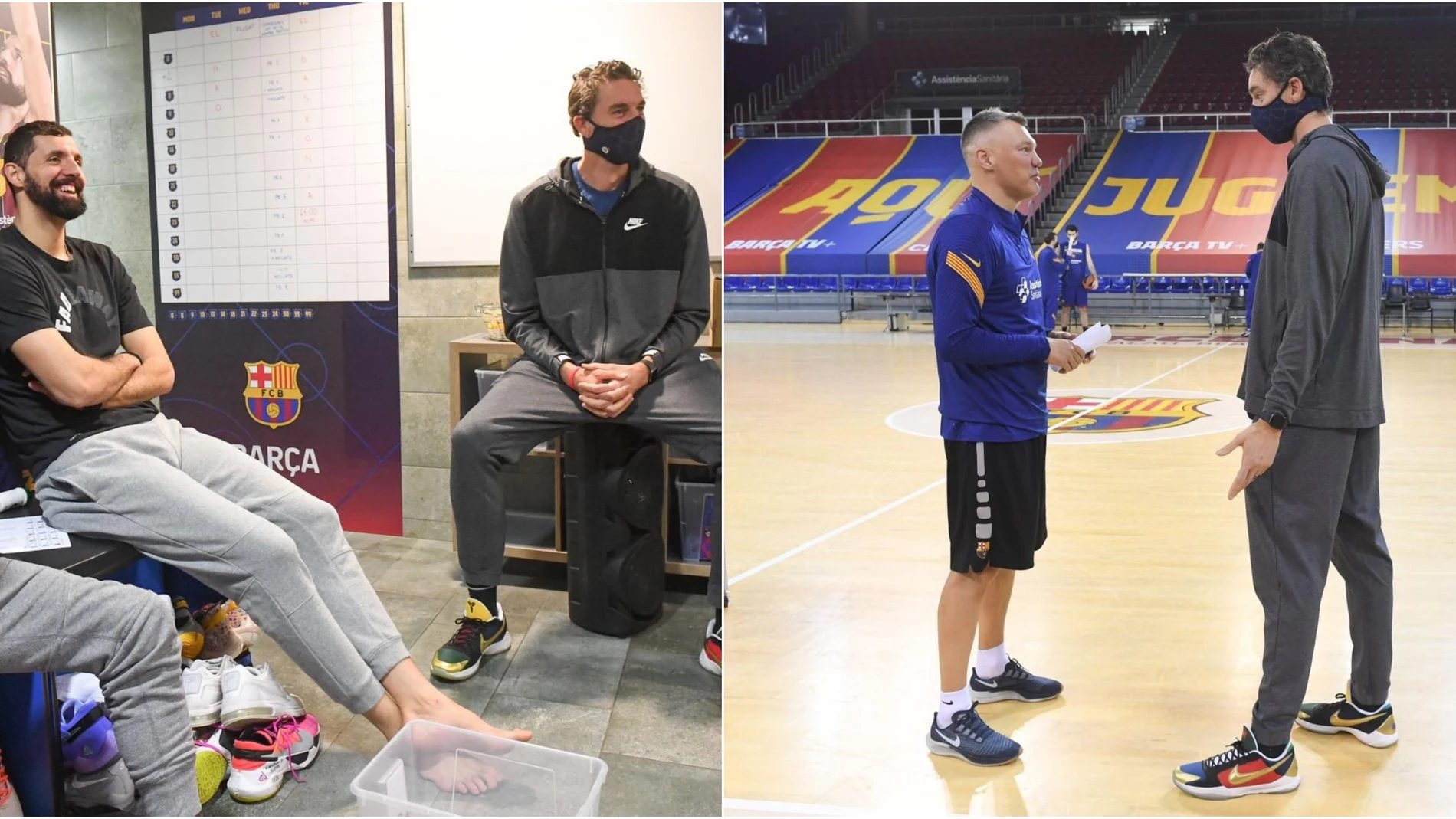 Pau Gasol regresa al Palau y ya es uno más de la plantilla del Barcelona Pau Gasol regresa al Palau y ya es uno más de la plantilla del Barcelona