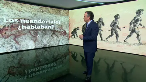 ¿Hablaban los neandertales? ¿Hablaban los neandertales?