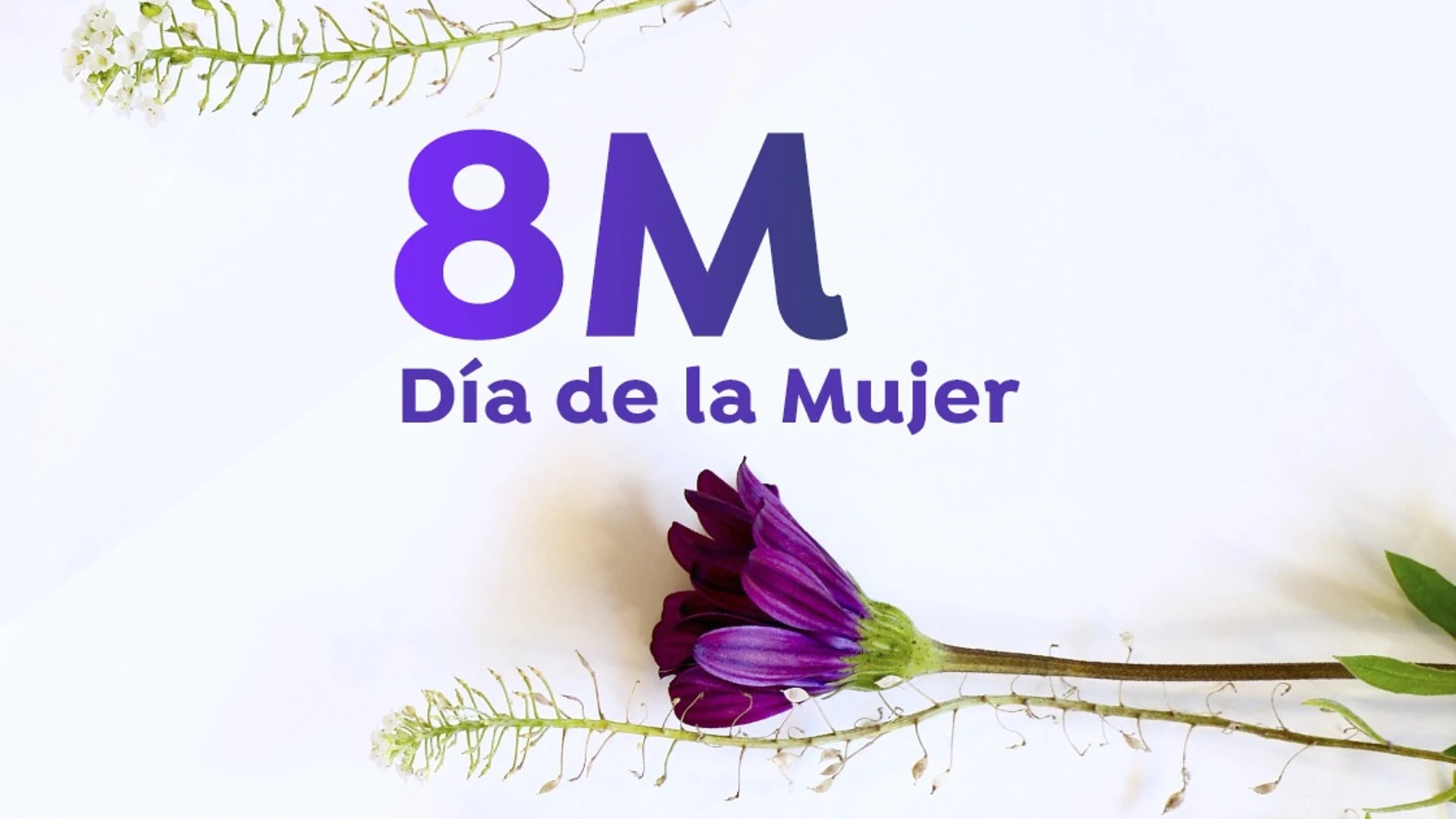 Día internacional de la mujer 2021:¿Por qué se celebra hoy 8 de marzo? Día internacional de la mujer 2021:¿Por qué se celebra hoy 8 de marzo?