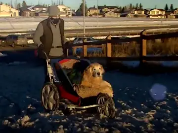 Donny Marchuk junto a su perro Sully Donny Marchuk junto a su perro Sully