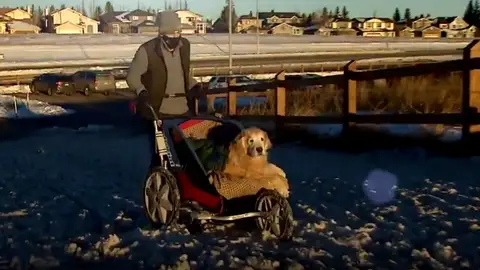 Donny Marchuk junto a su perro Sully Donny Marchuk junto a su perro Sully