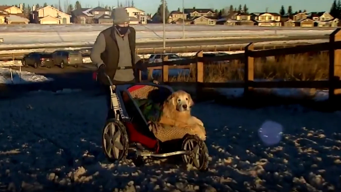 Donny Marchuk junto a su perro Sully Donny Marchuk junto a su perro Sully