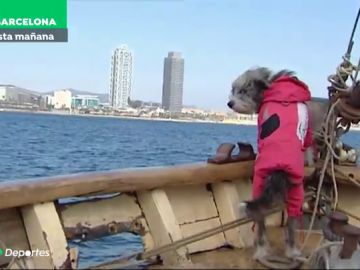 Nirvana, la perrita marinera que avista ballenas junto a Sergi Basolí en Barcelona