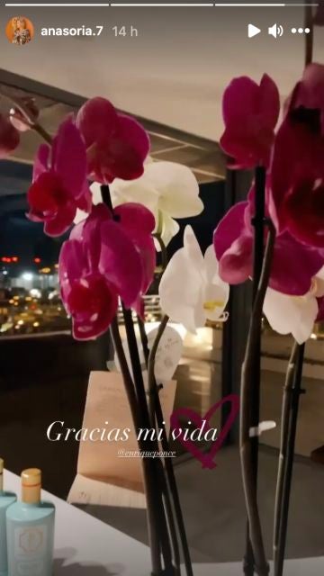 Ana Soria
