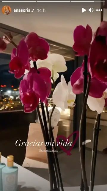 Ana Soria Ana Soria