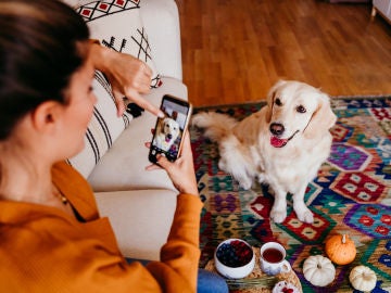 Fotografiar a tu mascota