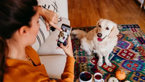 Fotografiar a tu mascota Fotografiar a tu mascota