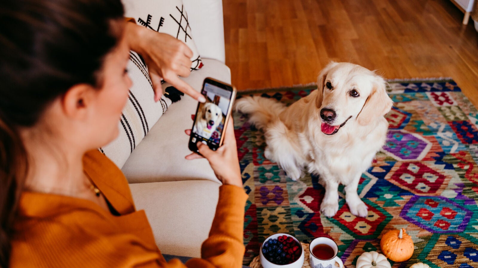 Cómo conseguir las mejores fotos de tu mascota 