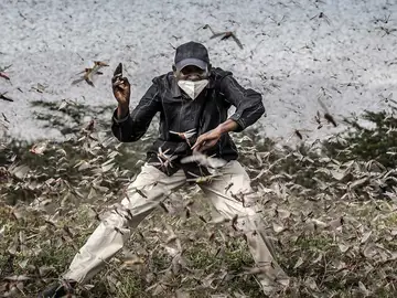 Imagen de Luis Tato. Imagen de Luis Tato.