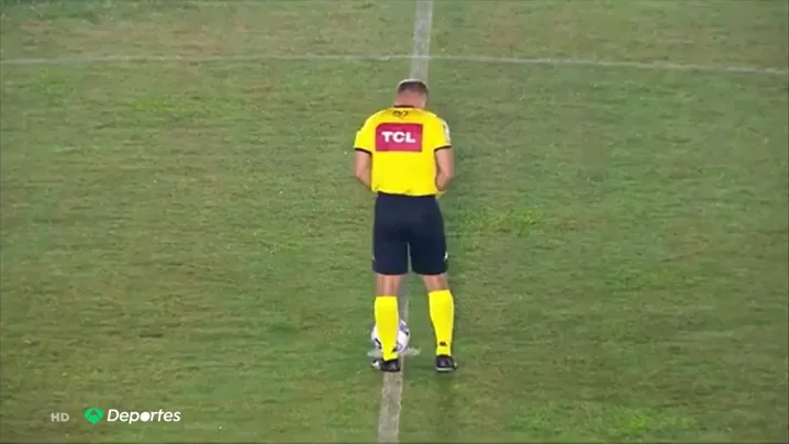 Pillan a un árbitro orinando en medio del campo antes de un partido de la copa brasileña Pillan a un árbitro orinando en medio del campo antes de un partido de la copa brasileña