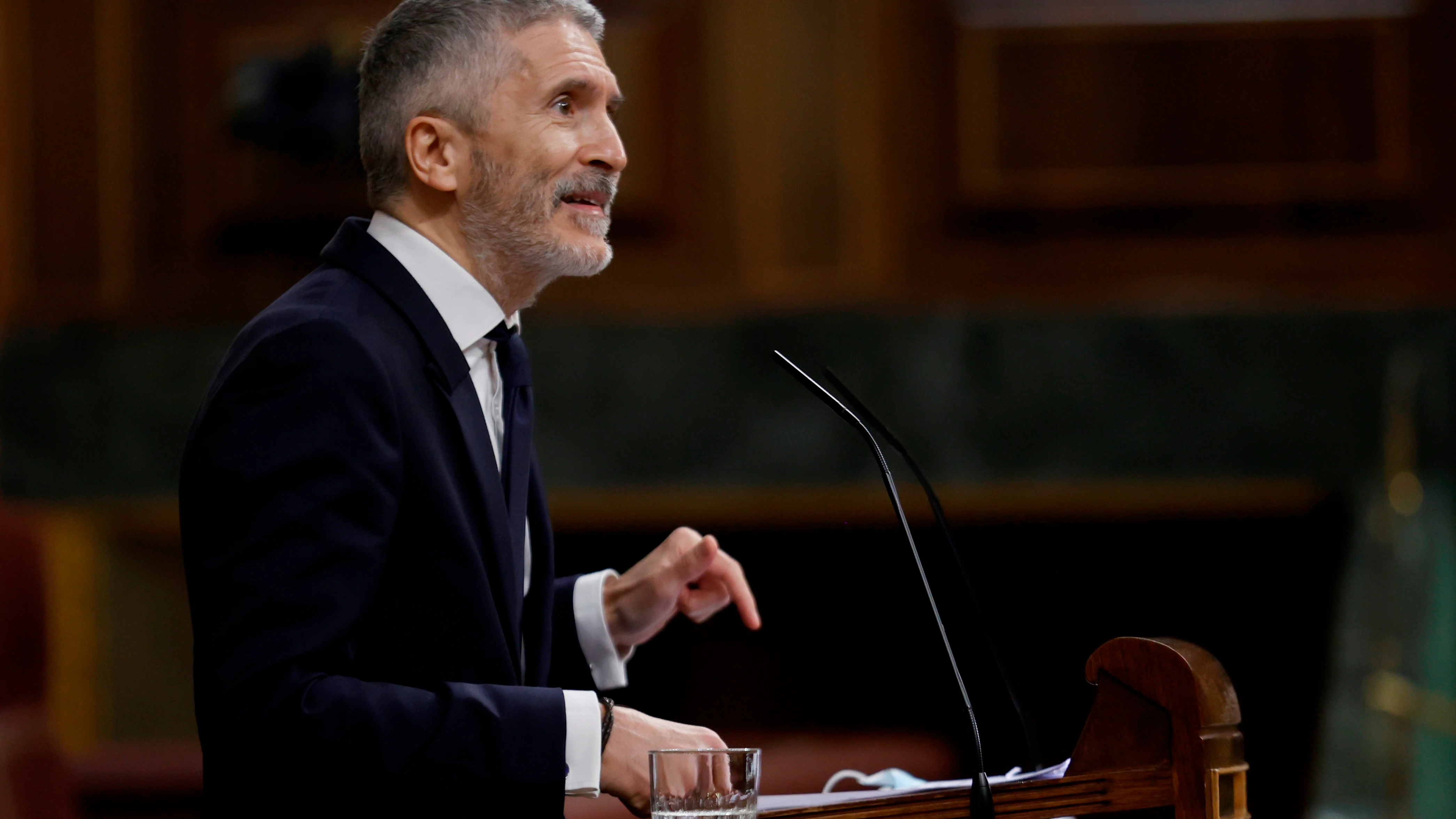 Fernando Grande-Marlaska, ministro del Interior