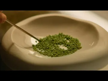 El chef Angel León descubre un nuevo cereal marino El chef Angel León descubre un nuevo cereal marino