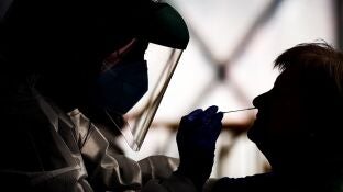 Realizaci&oacute;n de PCR durante un cribado para detectar casos de coronavirus