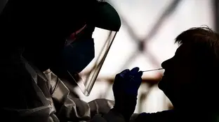Realización de PCR durante un cribado para detectar casos de coronavirus Realización de PCR durante un cribado para detectar casos de coronavirus