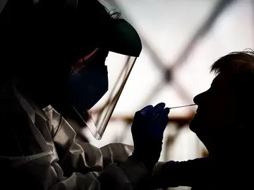 Realización de PCR durante un cribado para detectar casos de coronavirus Realización de PCR durante un cribado para detectar casos de coronavirus