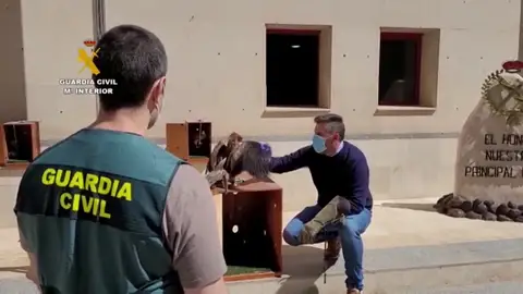La Guardia Civil rescata a decenas de aves rapaces secuestradas en Melilla La Guardia Civil rescata a decenas de aves rapaces secuestradas en Melilla