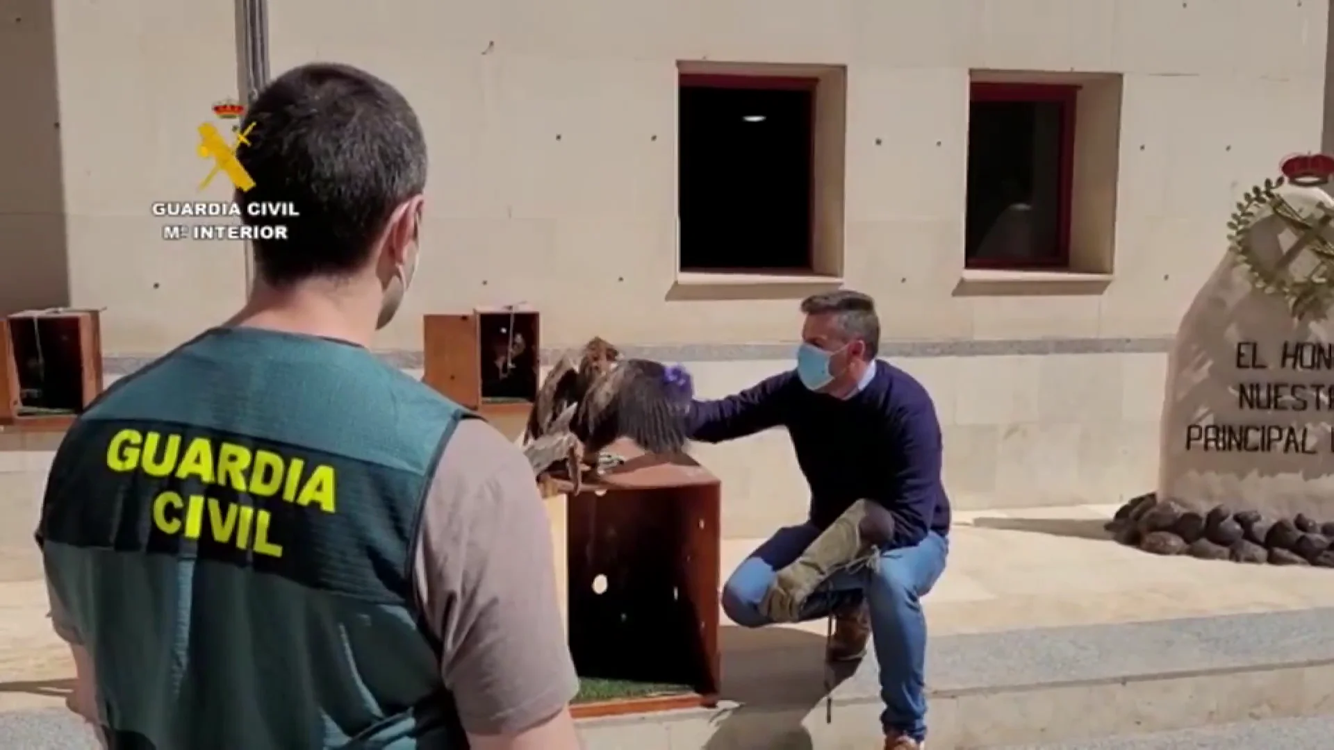 La Guardia Civil rescata a decenas de aves rapaces secuestradas en Melilla La Guardia Civil rescata a decenas de aves rapaces secuestradas en Melilla