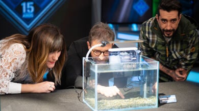 ¡Animales transparentes! Marron sorprende con las especies más raras de la naturaleza