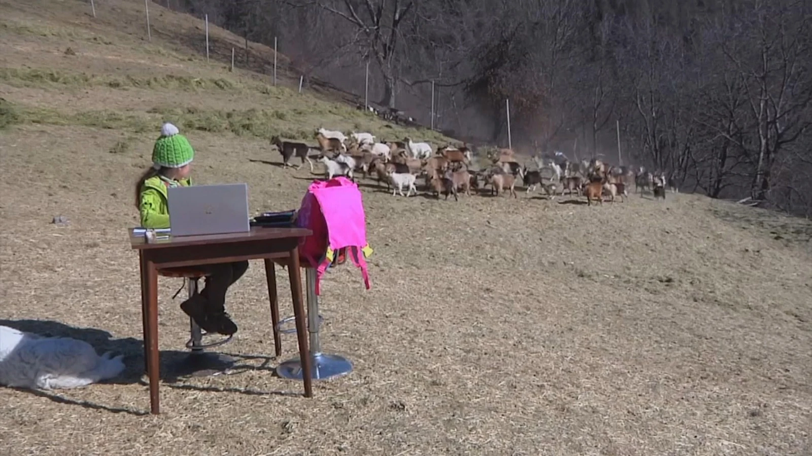 La 'Heidi' italiana que recibe sus clases online en la monta&ntilde;a