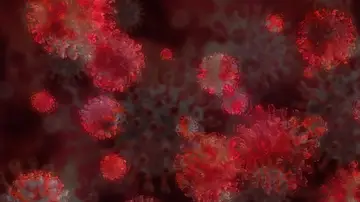 Descubren una nueva variante del coronavirus en el hospital francés Henri-Mondor de Créteil