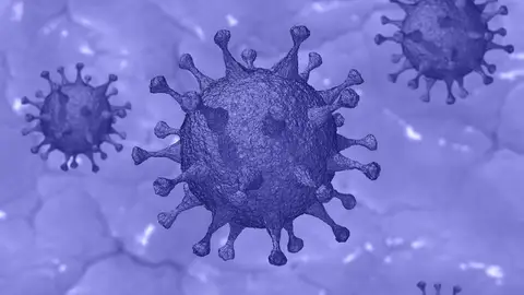 Virus Virus