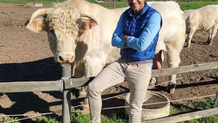 La foto viral de Joaquín con un toro: "El 'mieo' va por dentro" La foto viral de Joaquín con un toro: "El 'mieo' va por dentro"