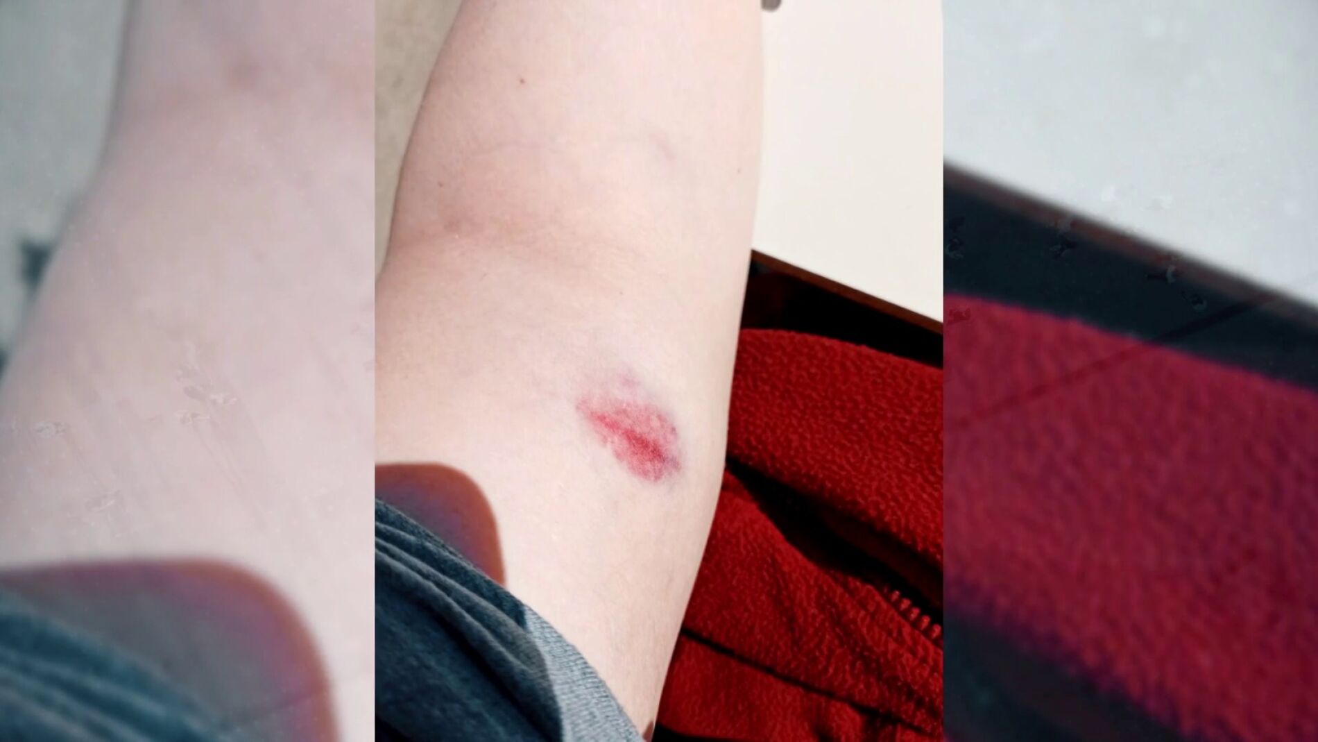 Duermen con un bate de b&eacute;isbol por temor a los okupas