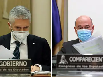 El Juez obligará a Fernando Grande-Marlaska a restituir al coronel de la Guardia Civil Diego Pérez de los Cobos El Juez obligará a Fernando Grande-Marlaska a restituir al coronel de la Guardia Civil Diego Pérez de los Cobos