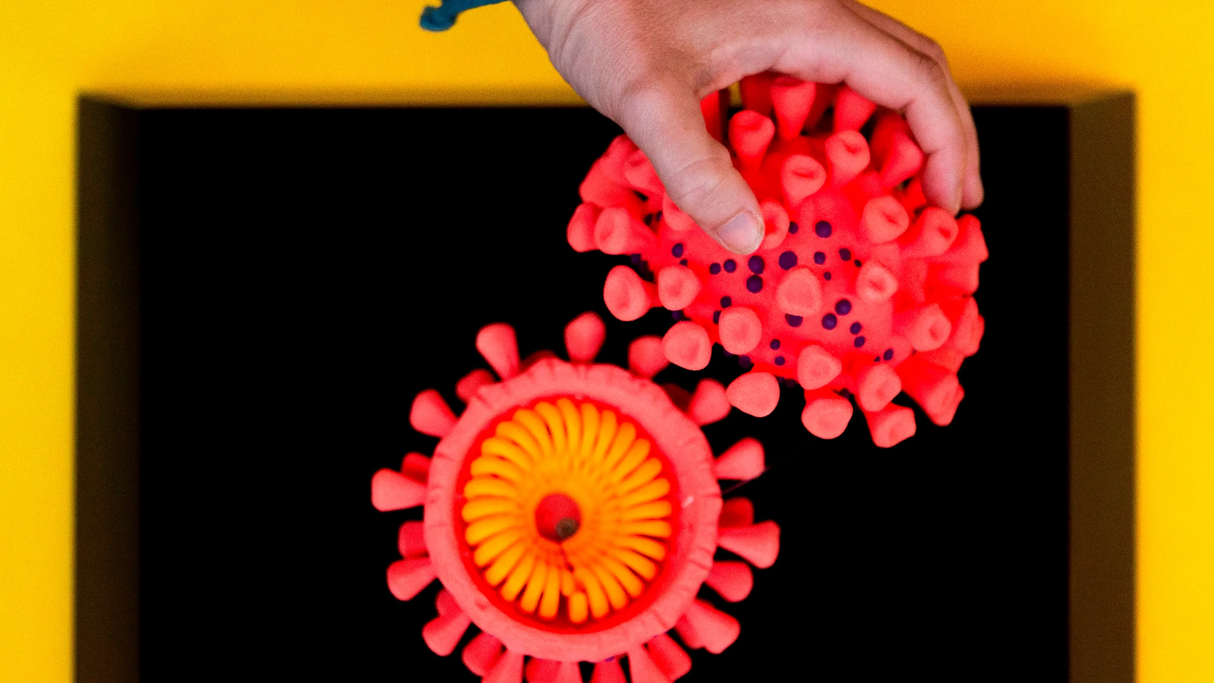 Coronavirus