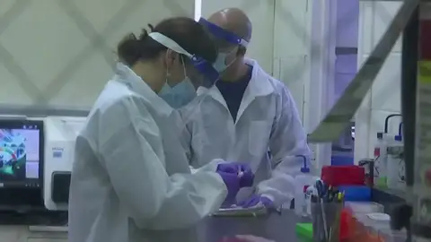 Un estudio concluye que las "células T asesinas" pueden ayudar a prevenir una enfermedad grave del coronavirus Un estudio concluye que las "células T asesinas" pueden ayudar a prevenir una enfermedad grave del coronavirus