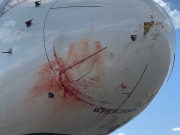 Imagen del avión después del incidente.