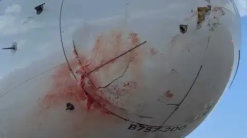Imagen del avión después del incidente. Imagen del avión después del incidente.
