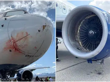 Los jugadores de Utah Jazz, obligados a aterrizar de emergencia tras chocar el avión con una bandada de pájaros Los jugadores de Utah Jazz, obligados a aterrizar de emergencia tras chocar el avión con una bandada de pájaros