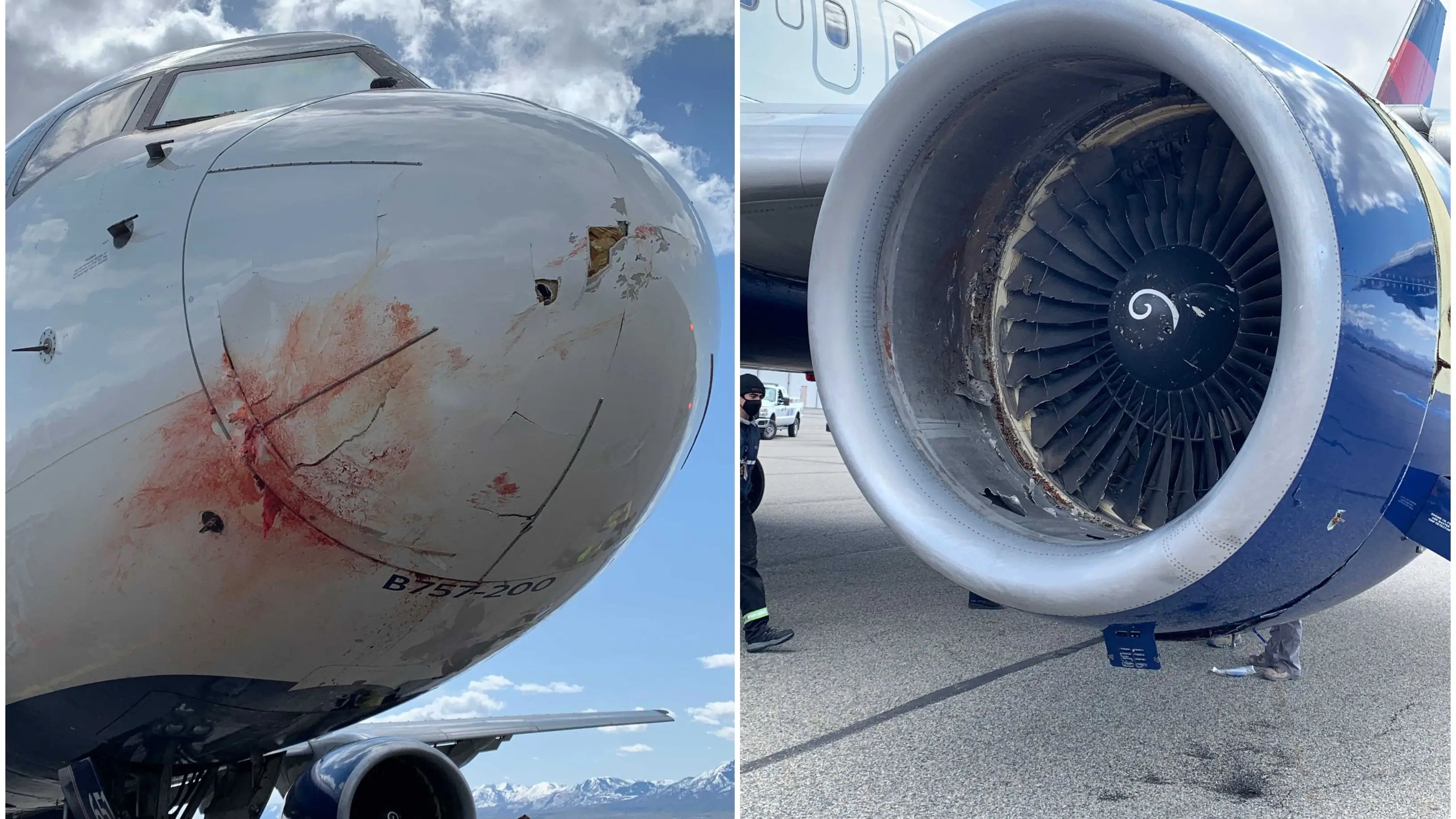 Los jugadores de Utah Jazz, obligados a aterrizar de emergencia tras chocar el avión con una bandada de pájaros Los jugadores de Utah Jazz, obligados a aterrizar de emergencia tras chocar el avión con una bandada de pájaros