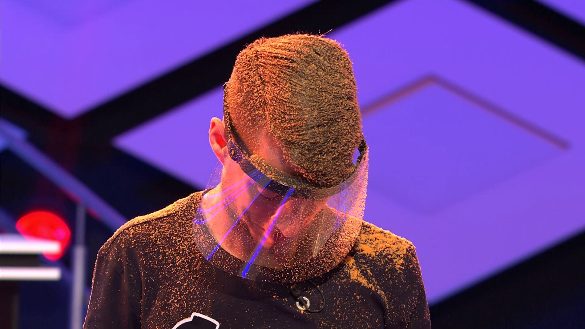 La hormiga escorpi&oacute;n, el insecto que ha evitado el pleno de &lsquo;Refrigerados&rsquo; en &lsquo;&iexcl;Boom!&rsquo;