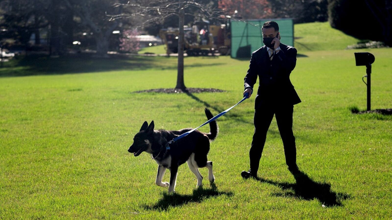 El perro de Joe Biden vuelve a morder a otro empleado de la Casa Blanca 