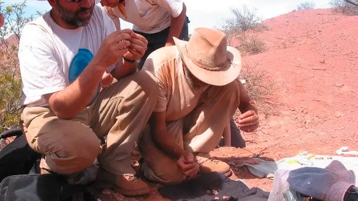 Hallazgo paleontol&oacute;gico en el sur de Argentina