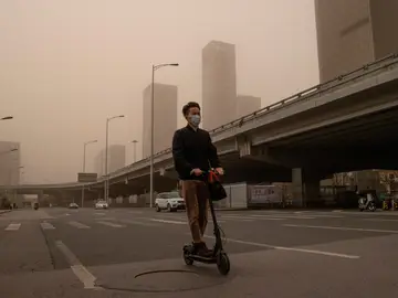 La contaminación podría ser la causa de la reducción del tamaño de los penes, según un estudio La contaminación podría ser la causa de la reducción del tamaño de los penes, según un estudio