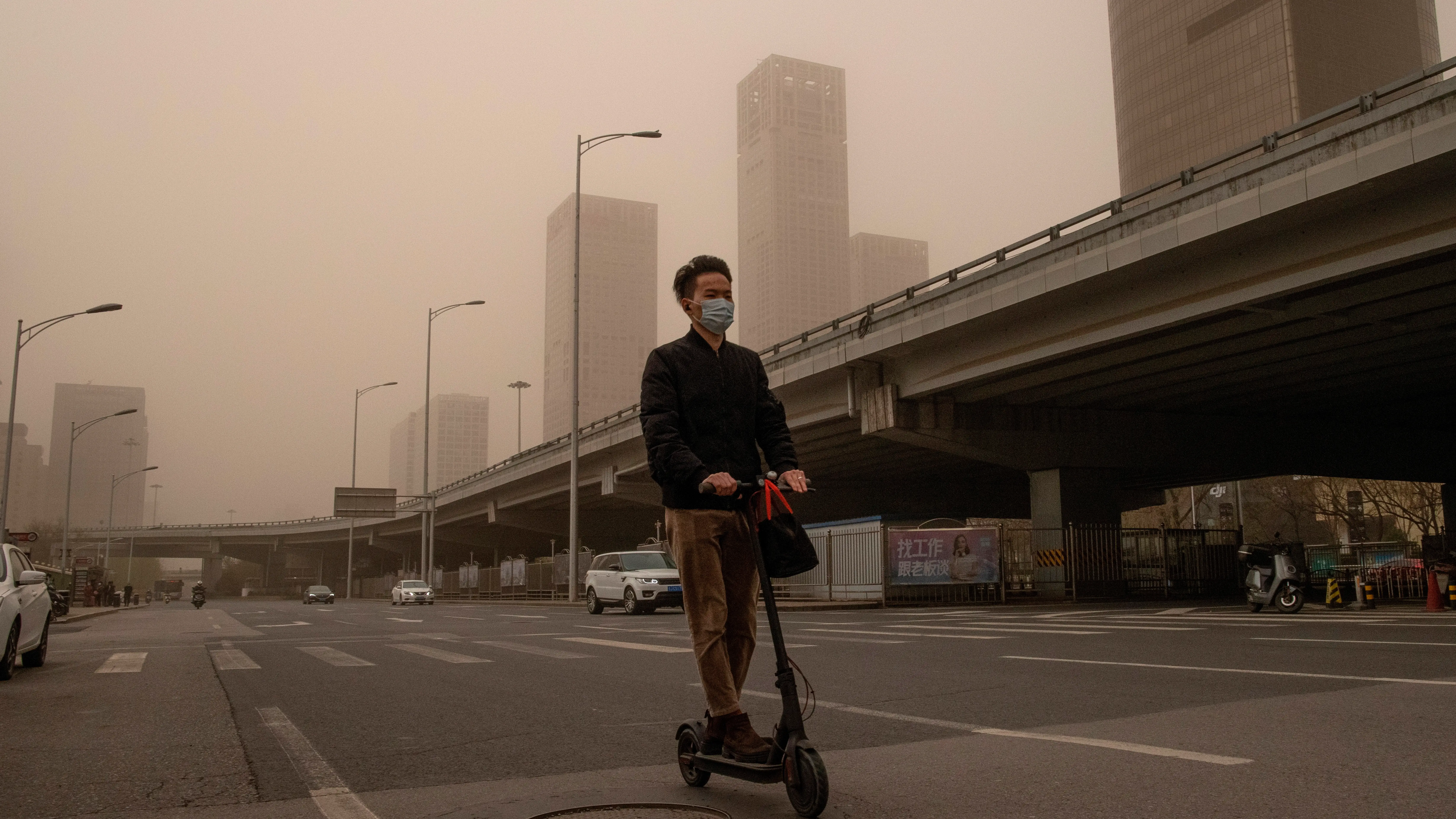 La contaminación podría ser la causa de la reducción del tamaño de los penes, según un estudio La contaminación podría ser la causa de la reducción del tamaño de los penes, según un estudio